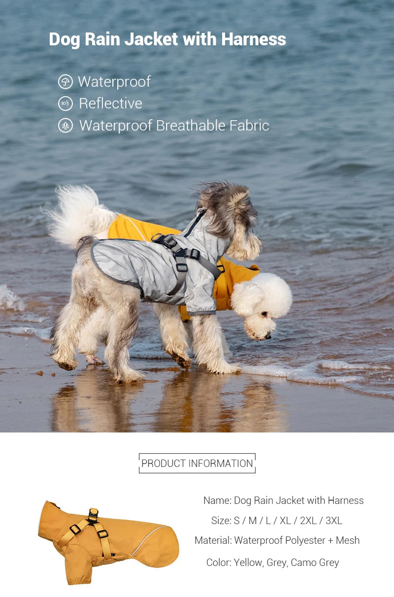 Dog wearing a rain jacket with harness on a beach, with product details listed above.