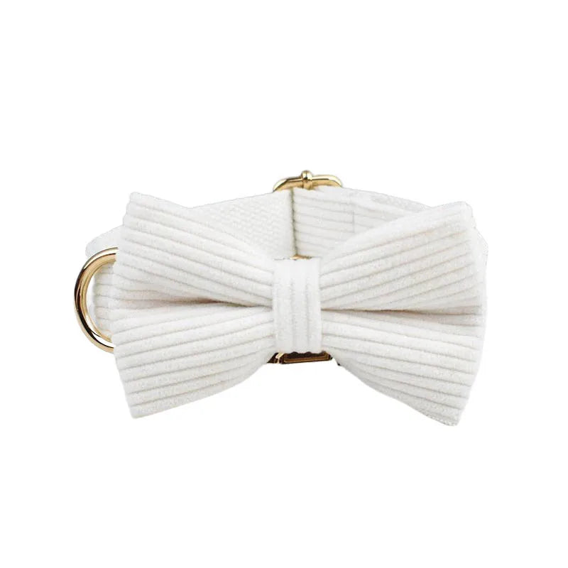 White bow tie with gold clasp on a white background