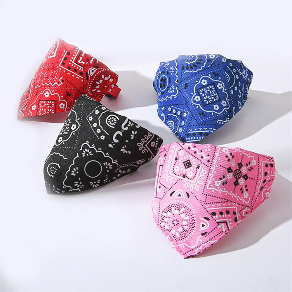Four bandana-patterned dog collars in red, black, blue, and pink on a white background.