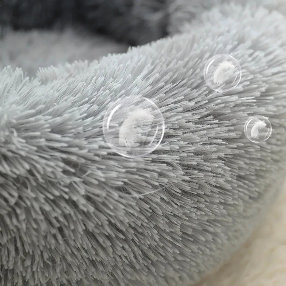Close-up of a textured gray surface with bubbles