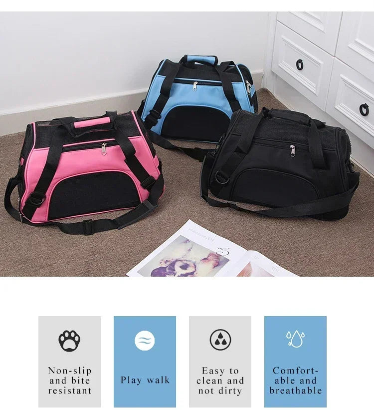 Three pet carriers in black, pink, and blue on a carpeted floor with a magazine underneath.