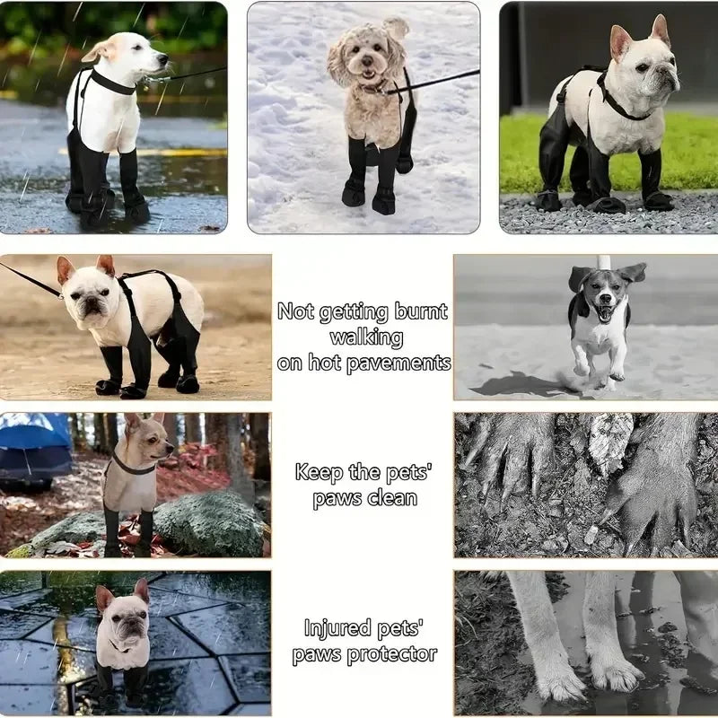 Collage of dogs wearing black paw protectors in various settings with text about paw protection.