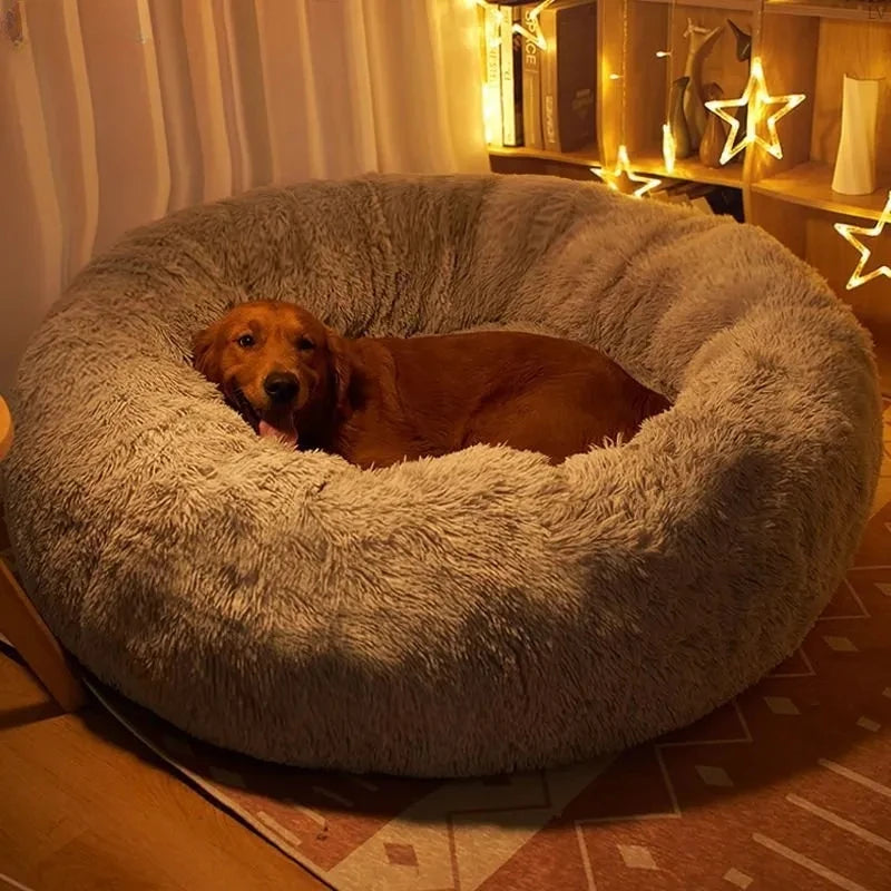 Dog lying in a fluffy pet bed with warm lighting and decorative stars in the background.