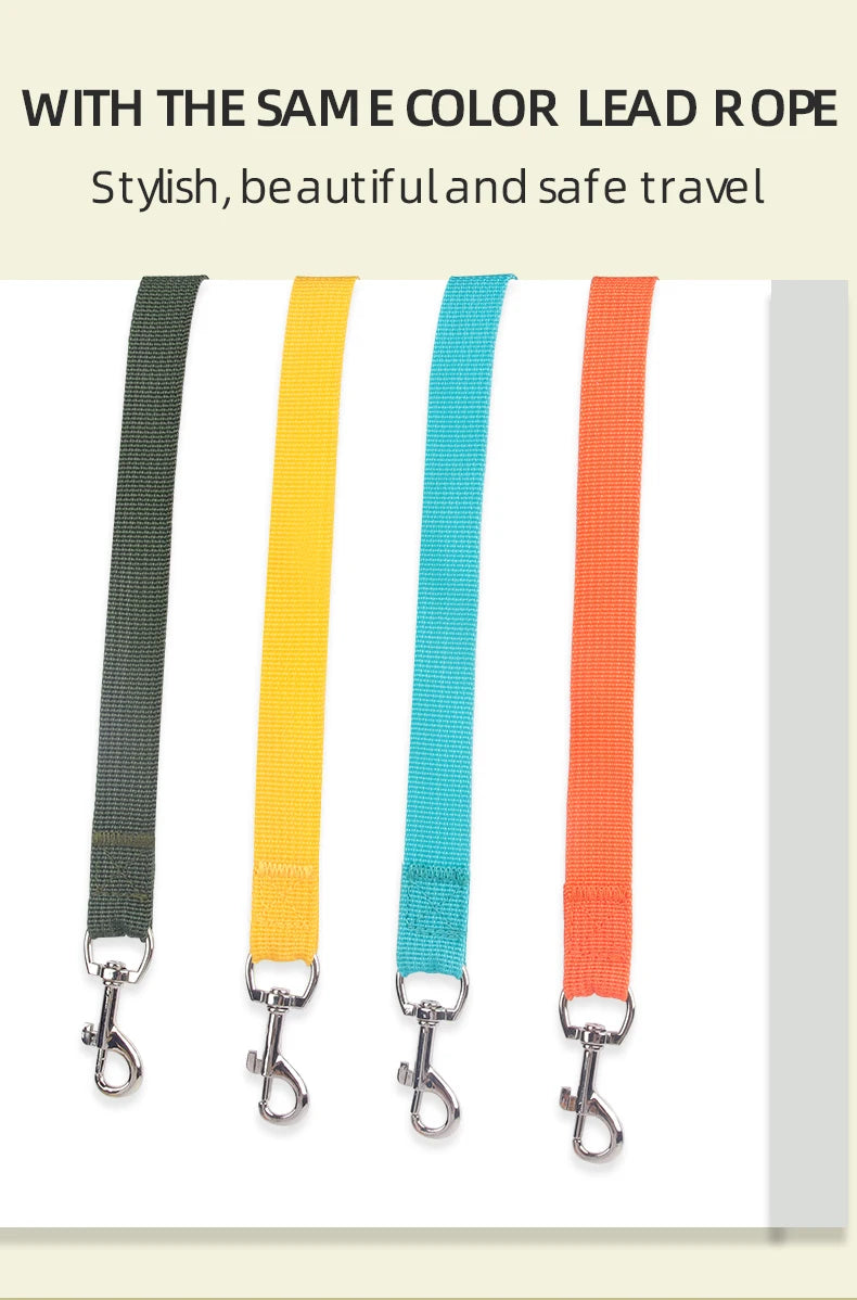 Four colorful lead ropes with metal clips on a white background