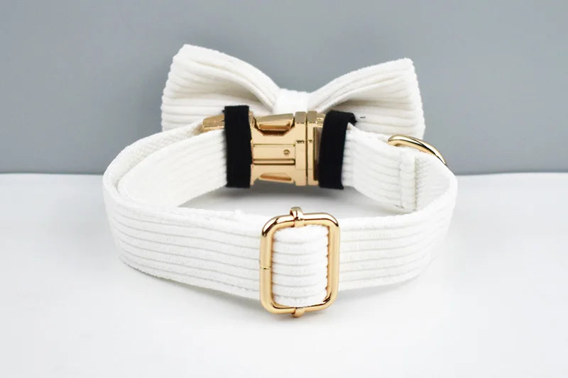 White dog collar with a bow and  gold buckle on a gray background