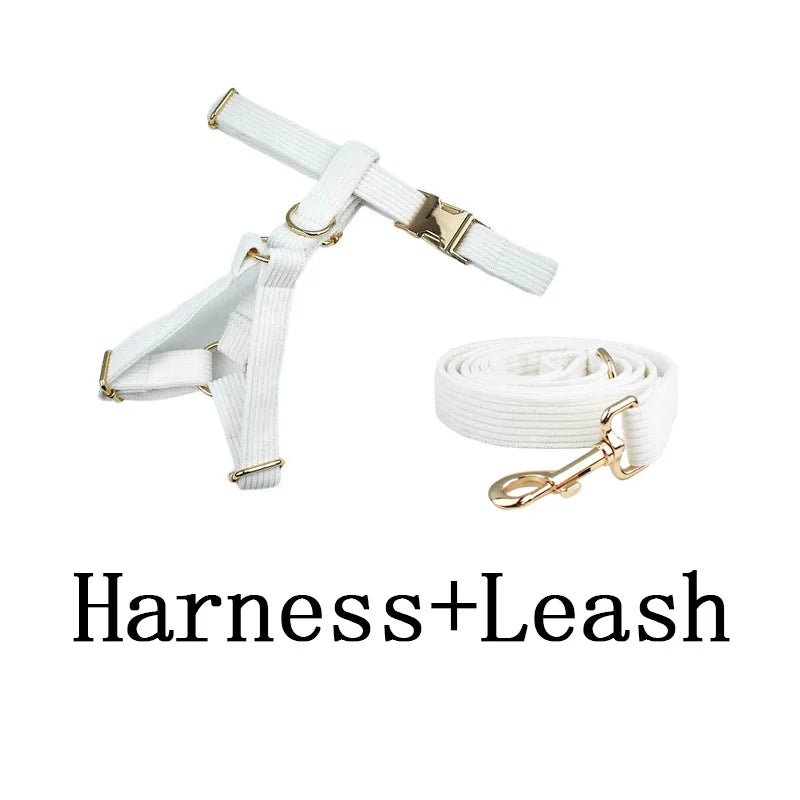 White harness and leash set with gold hardware on a white background