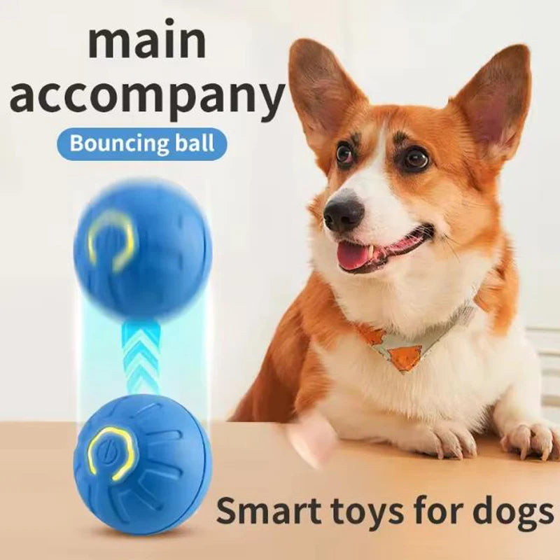 Dog with a bouncing ball toy labeled 'Smart toys for dogs' on a light background