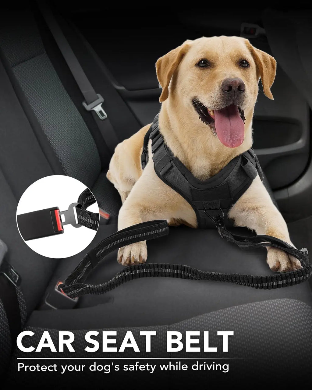 Dog wearing a car seat belt in a vehicle with an inset showing the buckle.