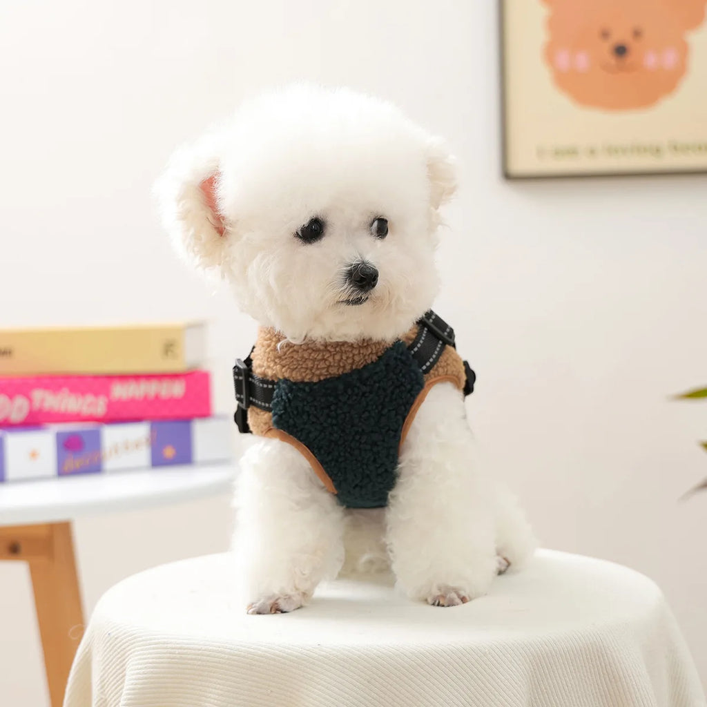 Cozy Pet Sweatshirt & Winter Coat for Small Dogs & Cats