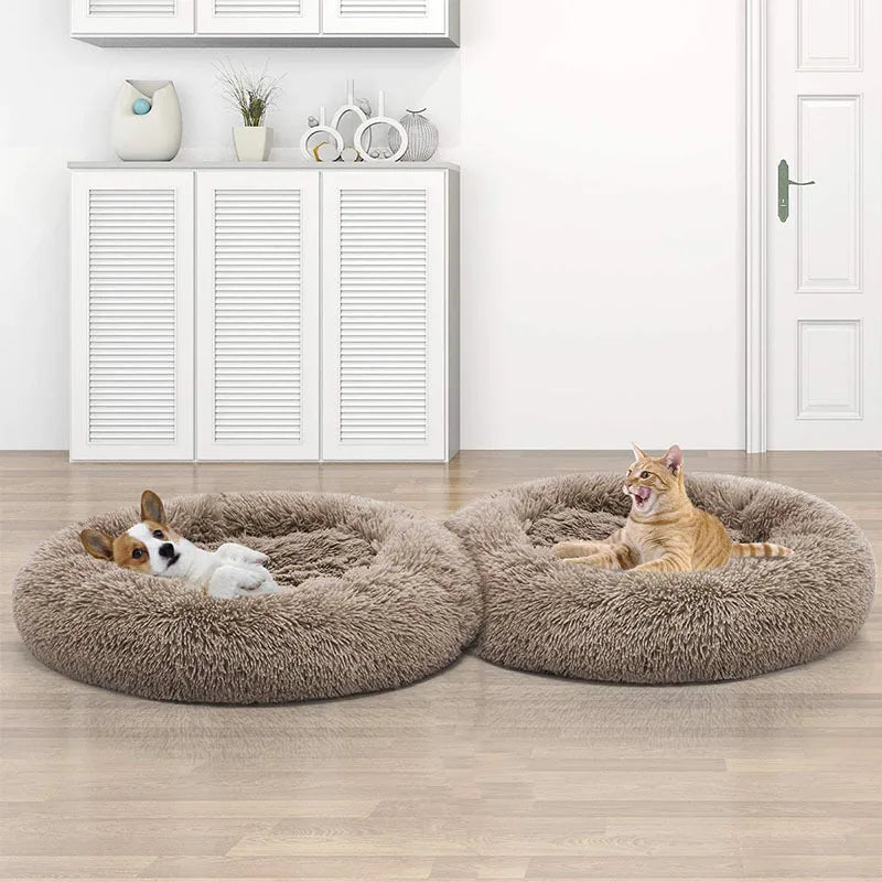 Two fluffy pet beds with a dog and a cat inside in a room.