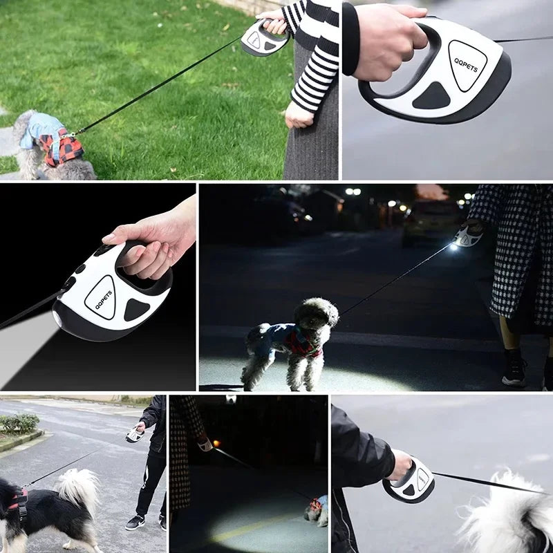 Collage of a dog being walked on a leash, a person holding a remote control, and a dog in a car.