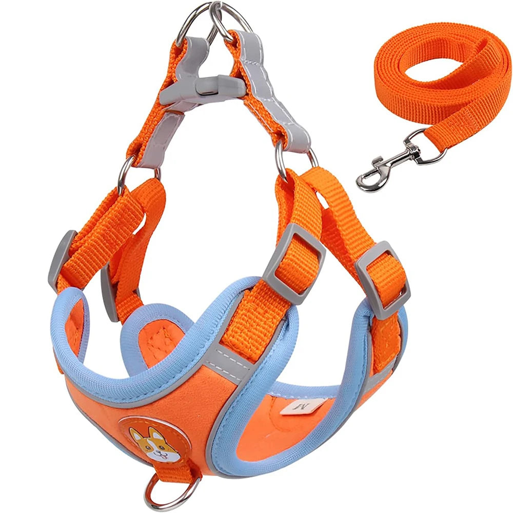 Orange dog harness and leash set with a blue strap on a white background