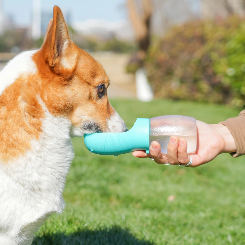 300ml Portable Water Bottle for Dogs & Cats