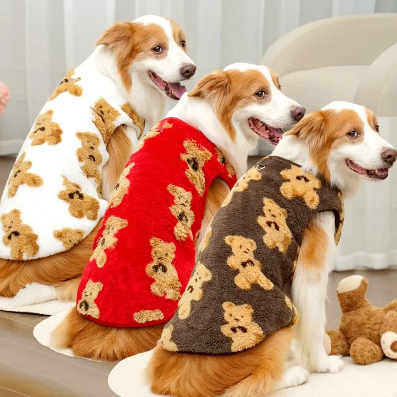 Three dogs wearing teddy bear patterned sweaters in red, white, and brown.