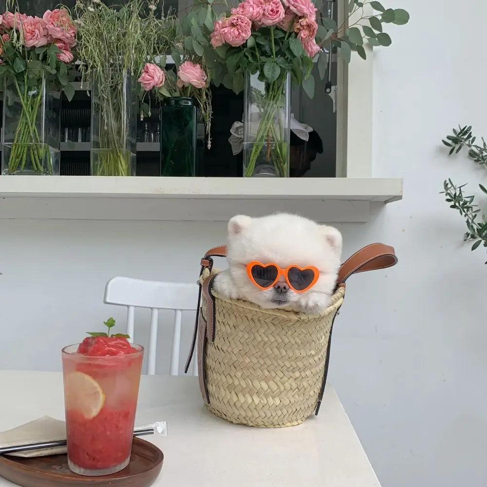 Dog wearing heart-shaped sunglasses in a straw bag with a drink and flowers in the background