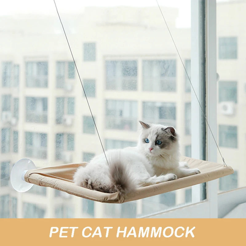 Cat lounging on a pet cat hammock with a cityscape background