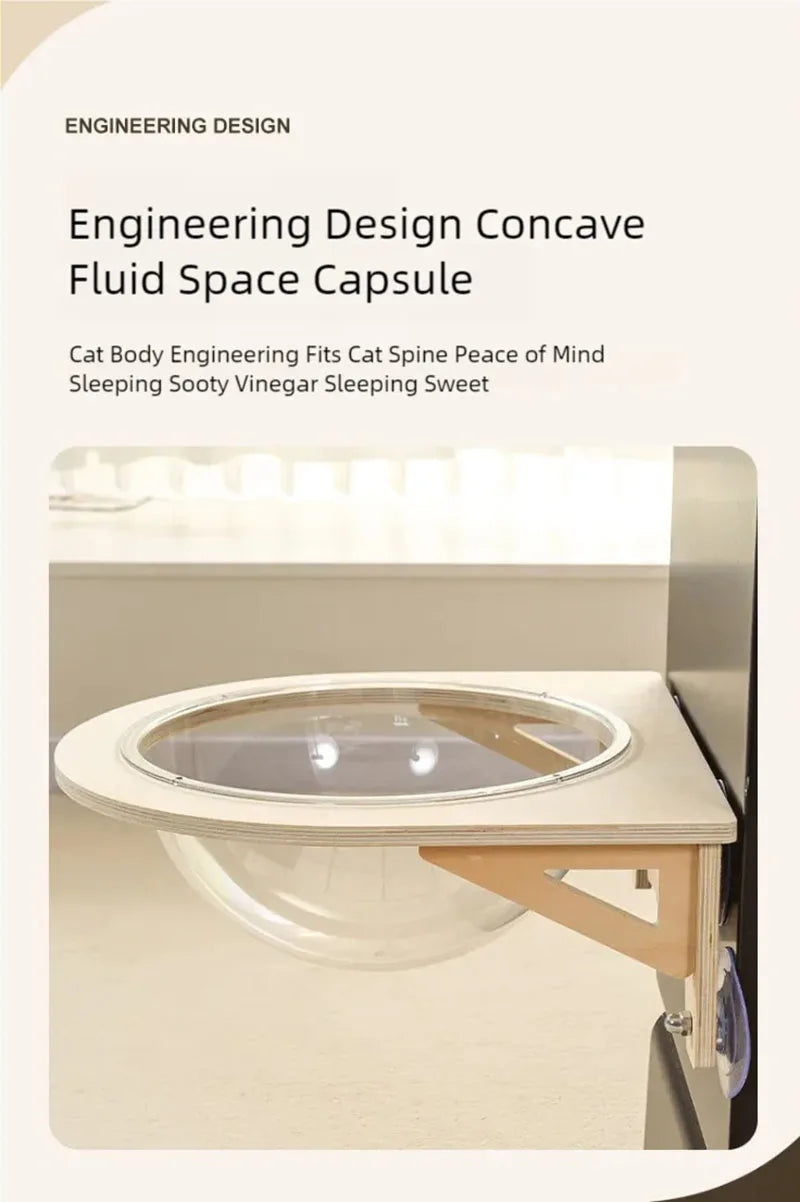 Engineering design concave fluid space capsule for cats on a light beige background