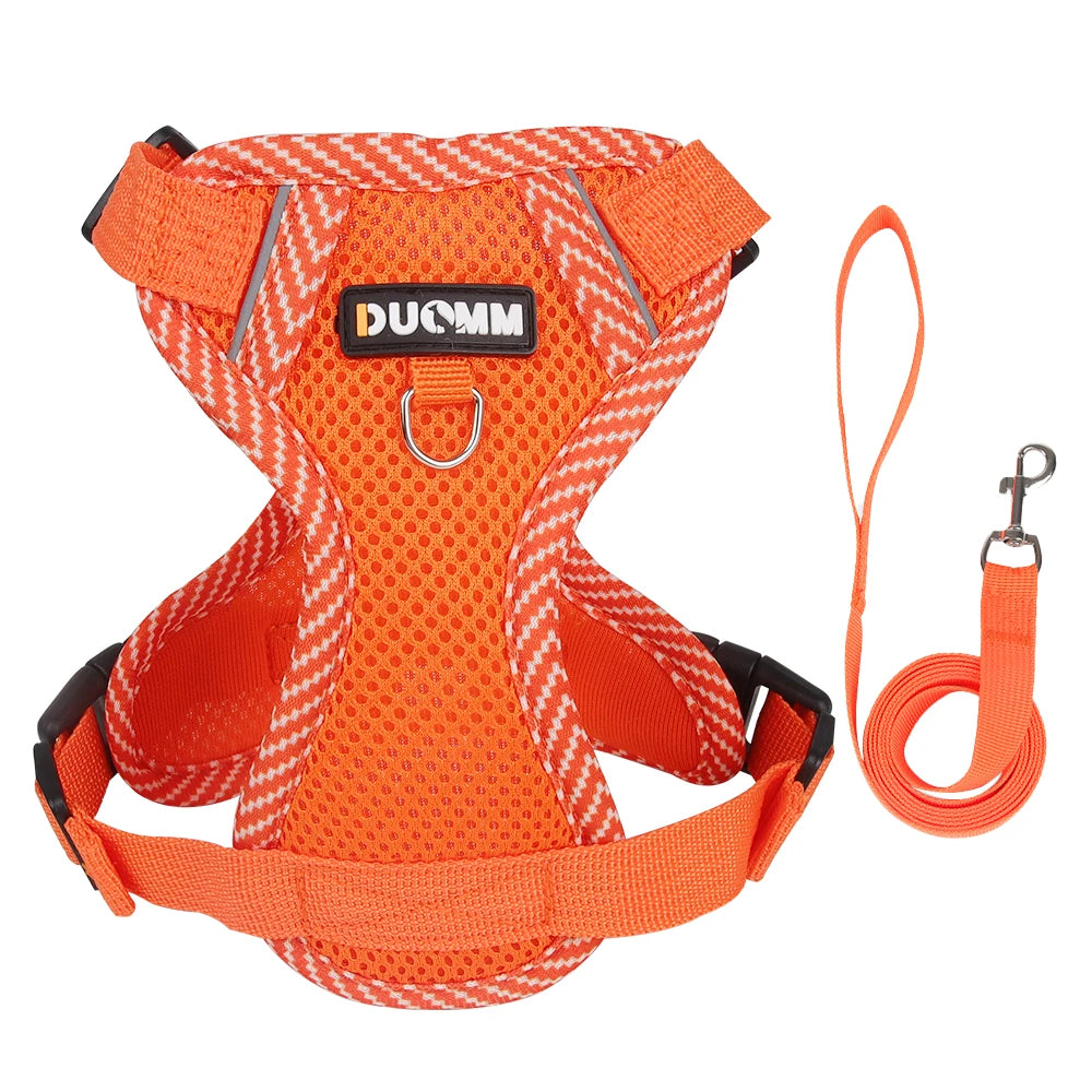 Orange dog harness and leash set with 'DUOMM' branding on a white background