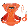 Orange dog harness and leash set with 'DUOMM' branding on a white background