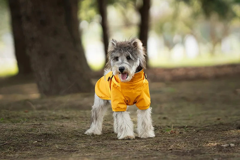 Dog wearing a yellow raincoat in a park setting
