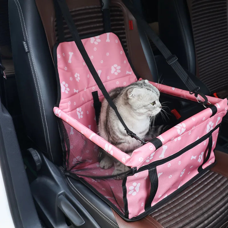 Cat in a pink car seat cover with paw prints on a car seat.