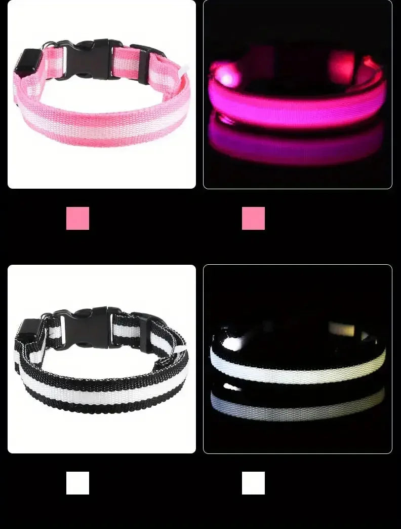 Collars with LED lights in pink, black, and white on a dark background.