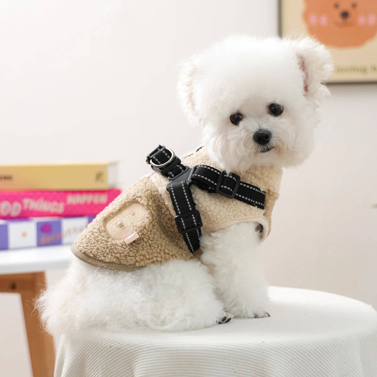 Cozy Pet Sweatshirt & Winter Coat for Small Dogs & Cats