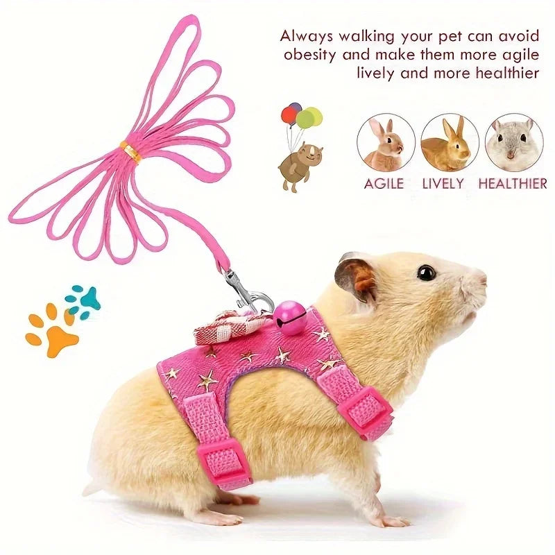 Small animal wearing a pink harness and leash with text about pet walking benefits.