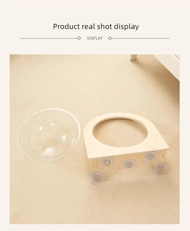 Product real shot display with a clear bubble and wooden object on a beige background