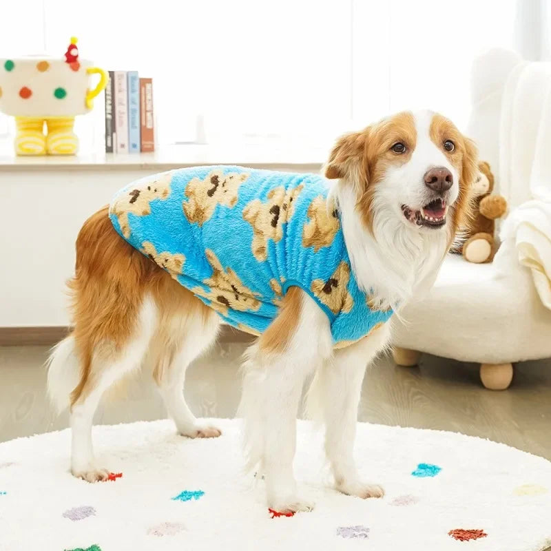Dog wearing a blue sweater with paw patterns indoors