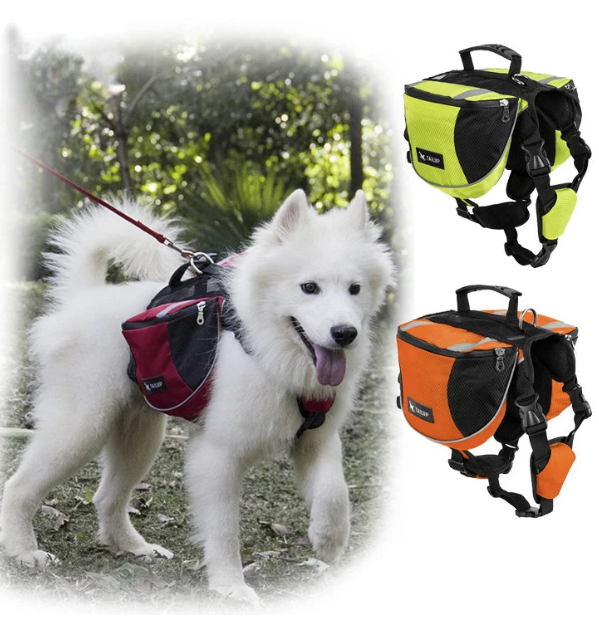 White dog wearing a red and black backpack with two additional backpacks shown on the right.