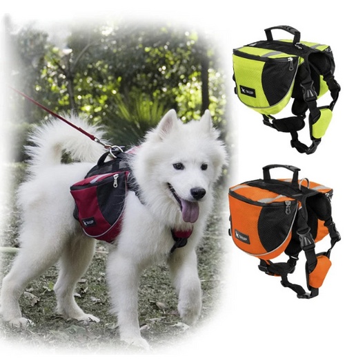 White dog wearing a red and black backpack with two additional backpacks shown on the right.