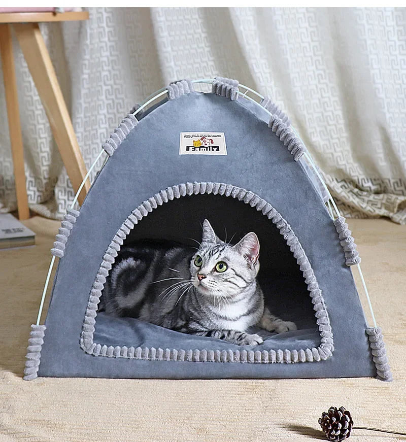 Cat inside a gray pet tent on a light tan carpet floor with a curtain in the background