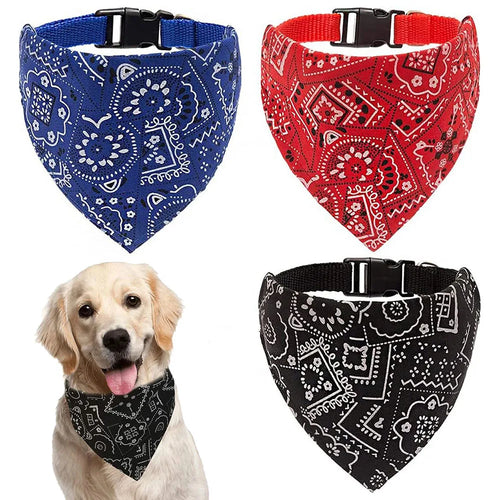 Three bandana collars in blue, red, and black with a dog wearing a black bandana.
