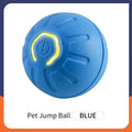 Blue pet jump ball with a yellow center on a white background