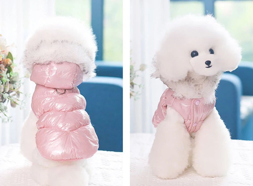 Small dog wearing a pink puffer coat with fur hood indoors.