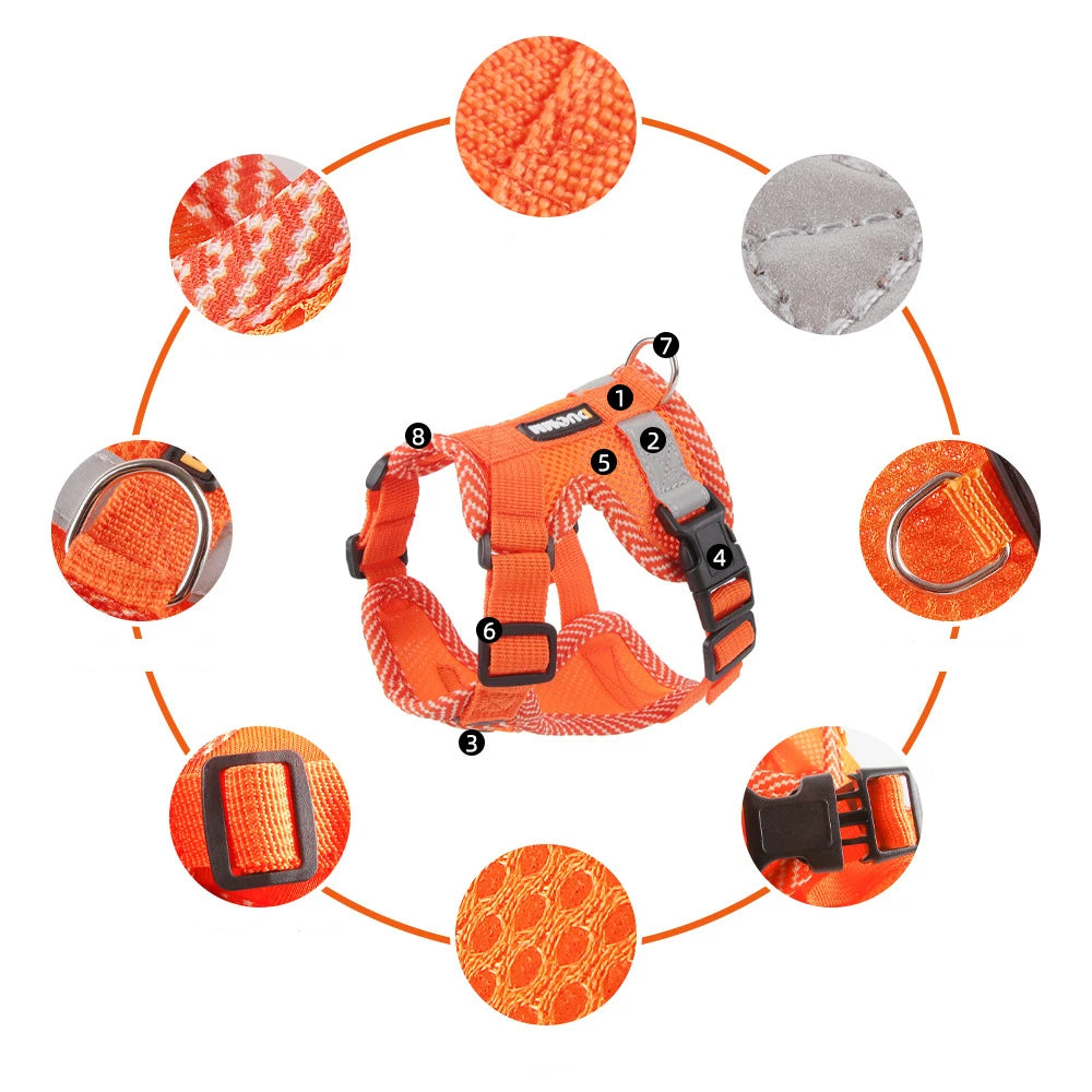 Orange dog harness with close-up details on a white background