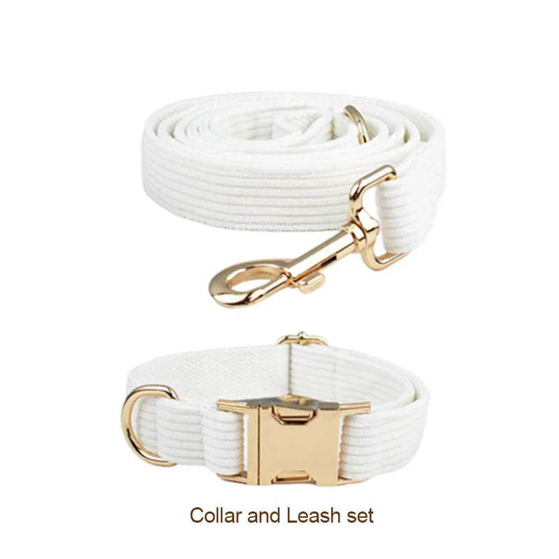 White dog collar and leash set with gold hardware on a white background