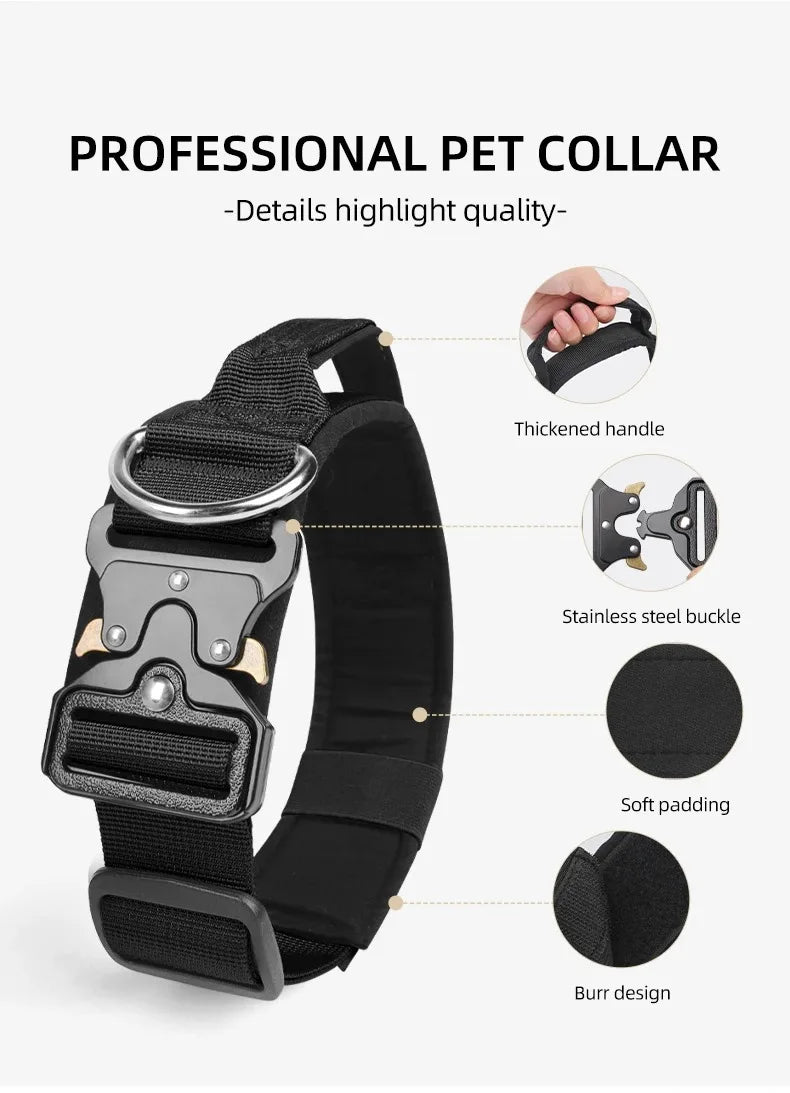 Black pet collar with features highlighted on a white background