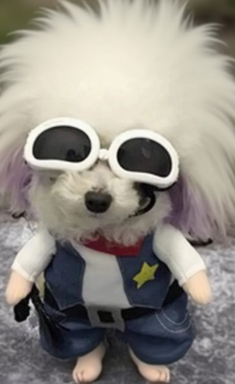 Stuffed toy  wearing sunglasses and a denim outfit on a textured surface