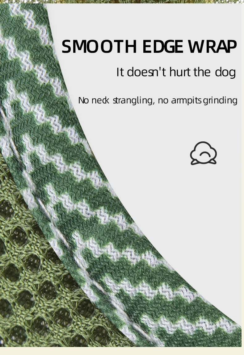 Green and white patterned dog collar with text on a white background