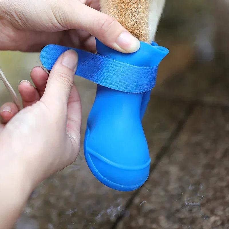 Blue pet boot being applied to a paw with a natural background
