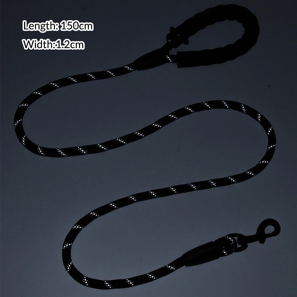 Black dog leash with reflective studs on a dark background