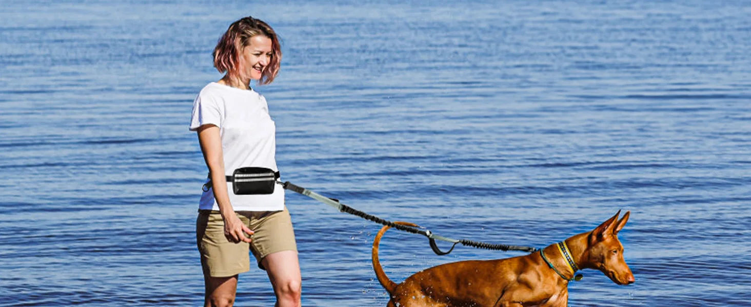 Woman walking a dog by the water with a blue background