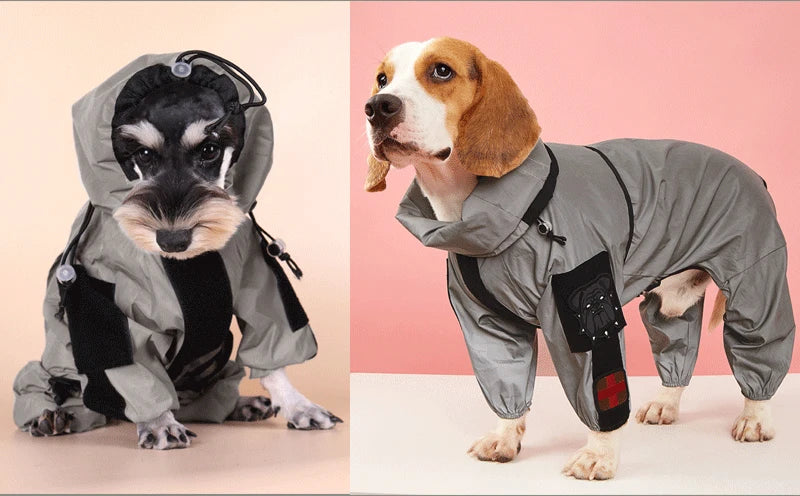 Two dogs wearing gray raincoats on a pink background