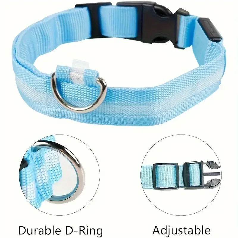 Light blue dog collar with durable D-ring and adjustable buckle on a white background