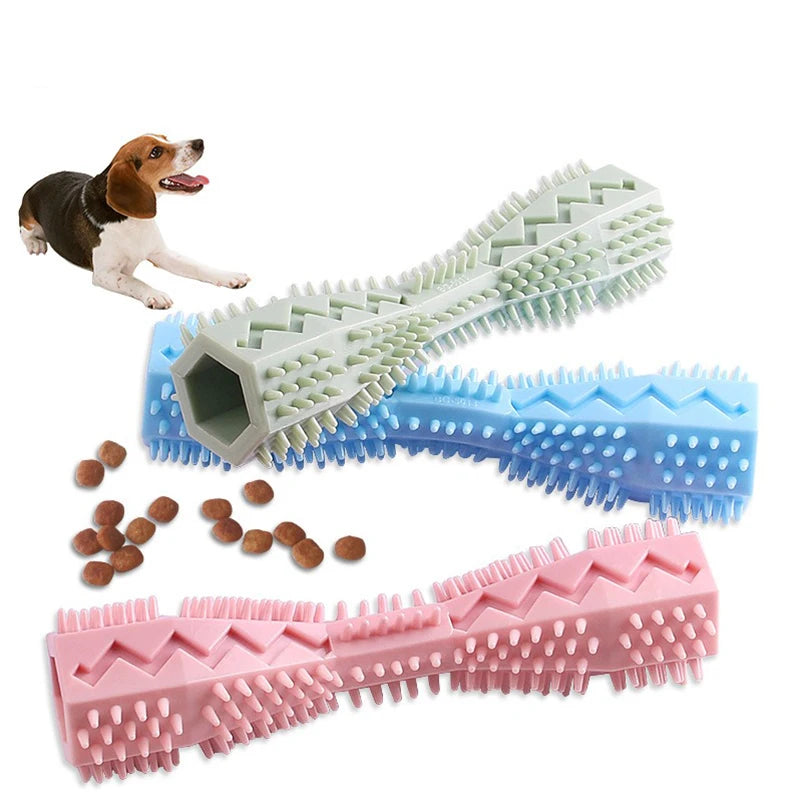 Dog dental brush set with a dog and dog treats on a white background