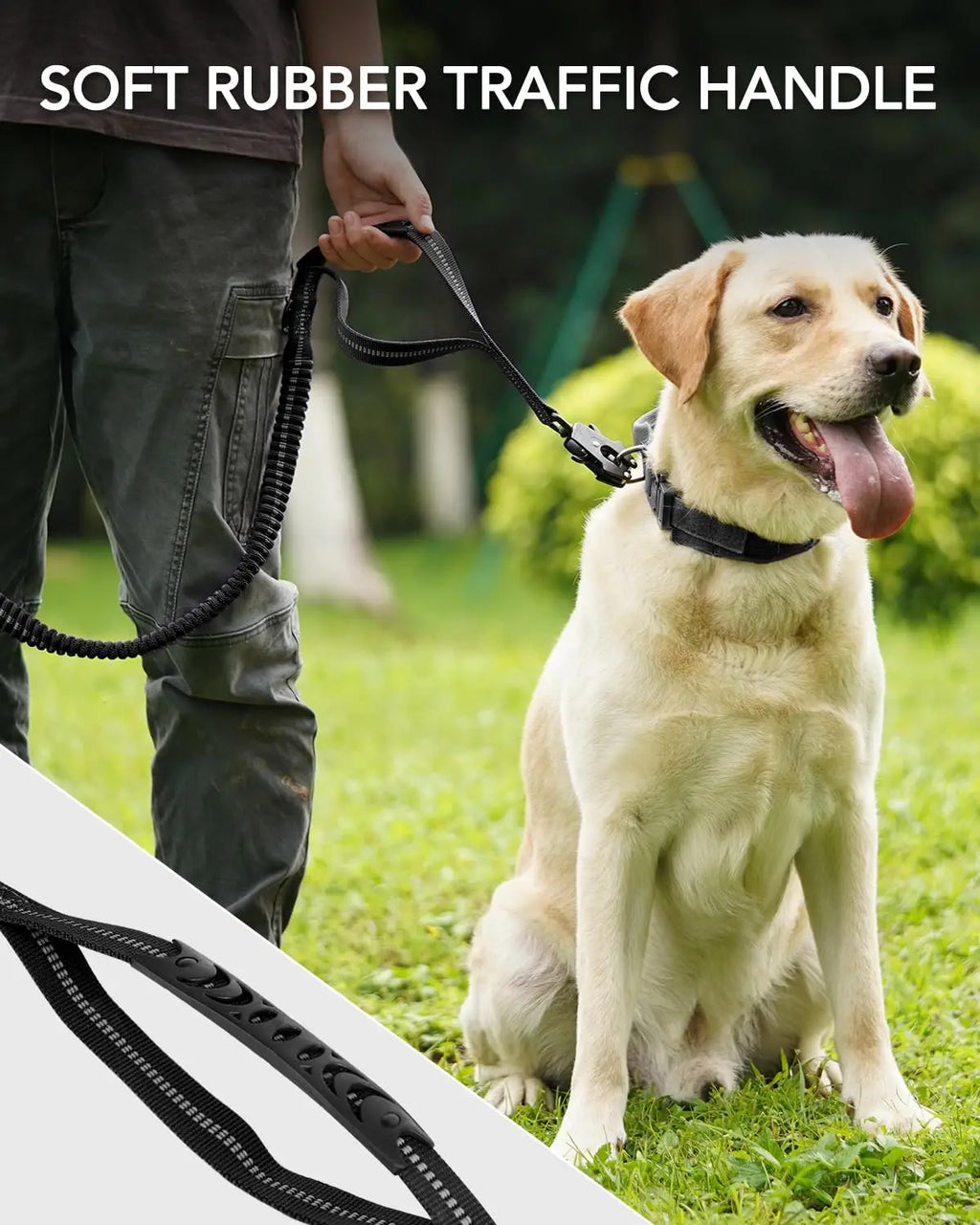 Dog on a leash with a soft rubber traffic handle, sitting on grass.