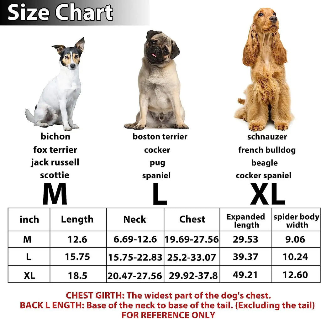Dog size chart with images of various breeds and measurements.