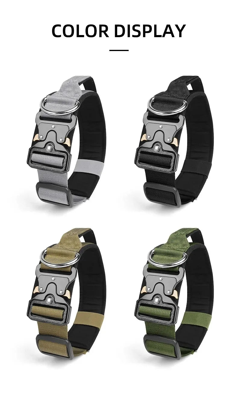 Four dog collars in black, gray, and green on a white background